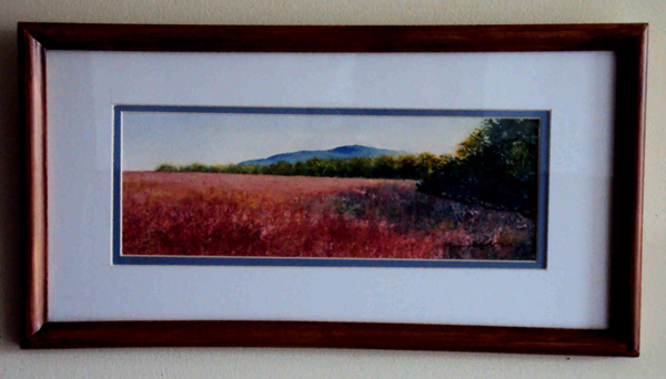 framed watercolors by laura tasheiko