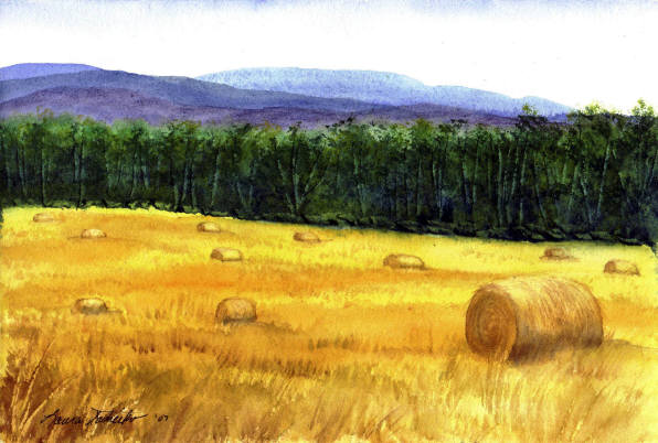 Hay Field